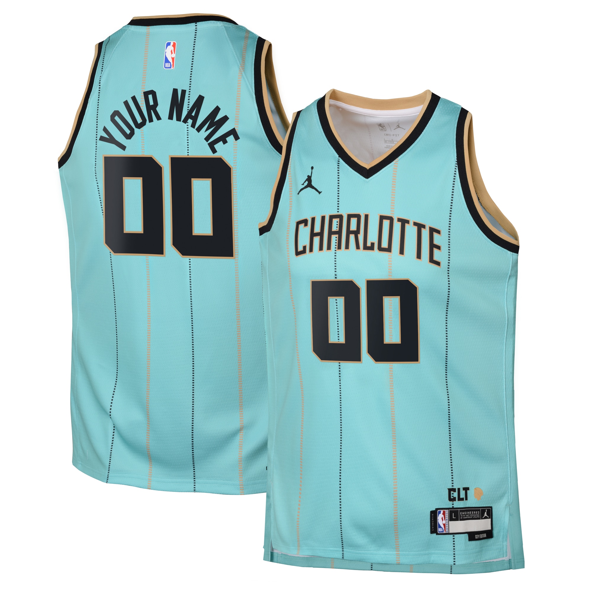 Charlotte Hornets Jordan City Edition Swingman Jersey 2024 - Custom - Youth
