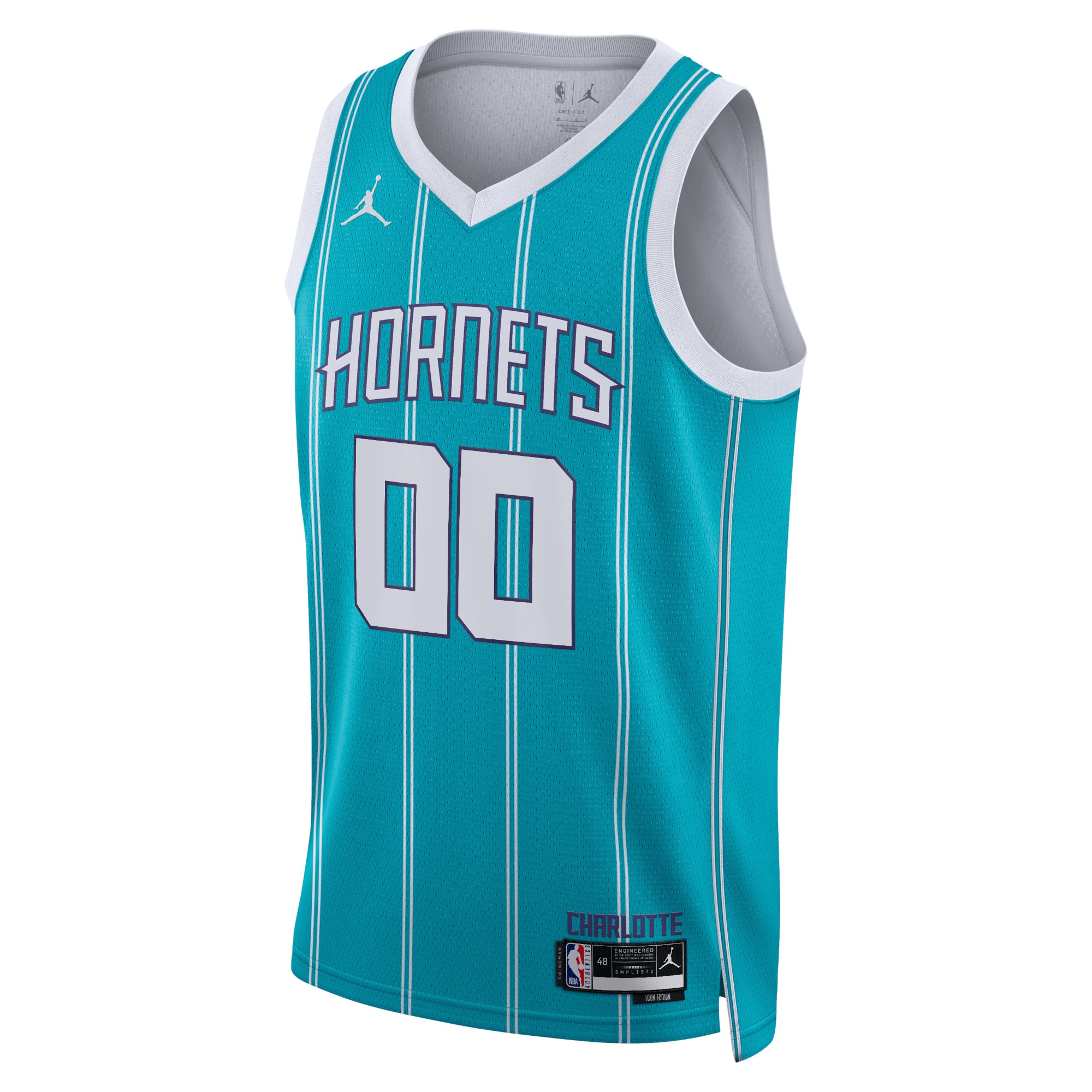 Charlotte Hornets Jordan Icon Edition Swingman Jersey - Custom - Unisex