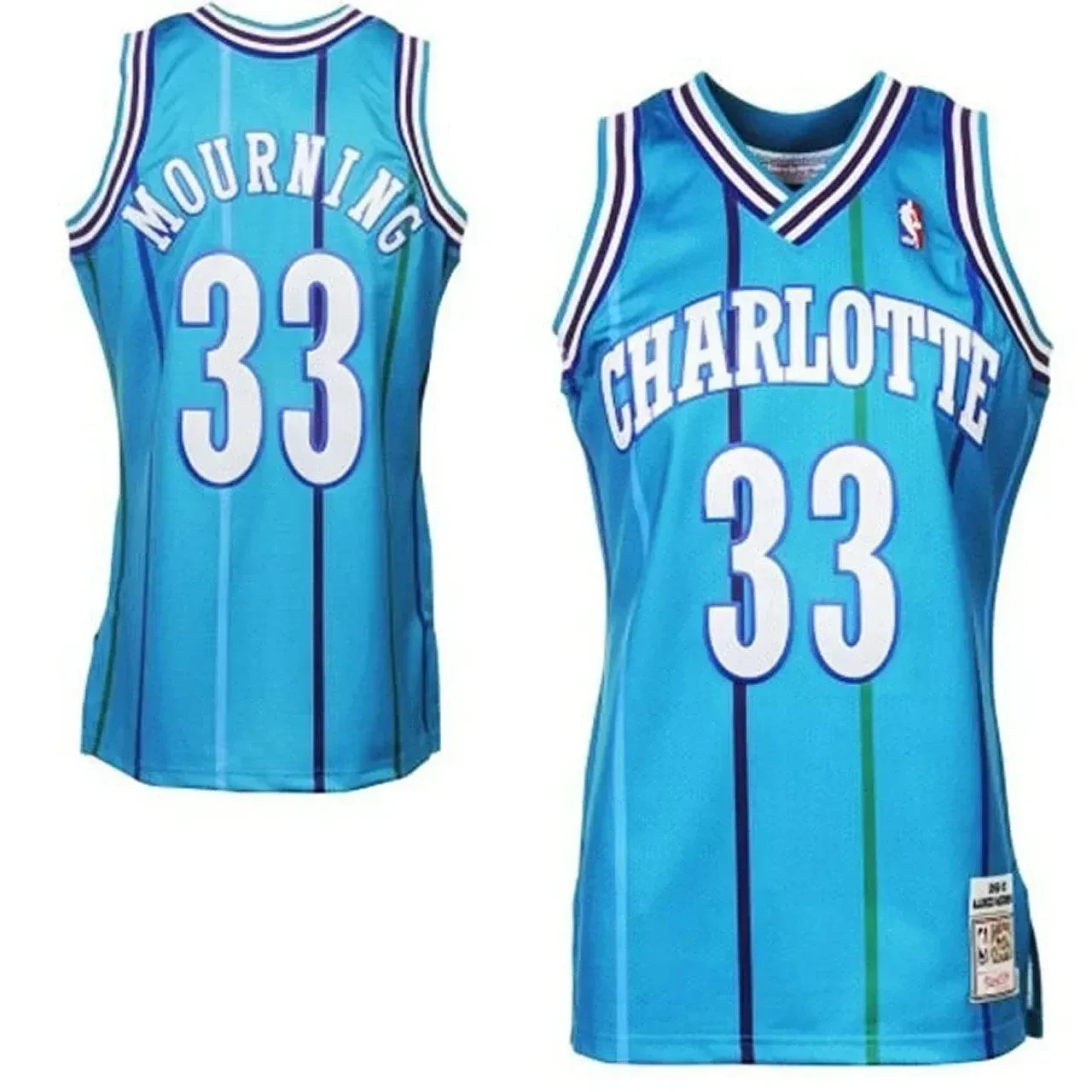 Men's Male Alonzo Mourning Charlotte Hornets 33 Hardwood Classics Jersey