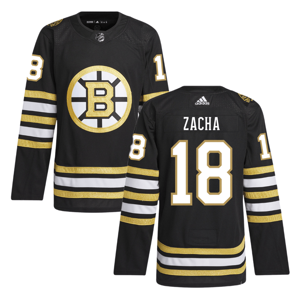 Pavel Zacha 18 Boston Bruins 100th Anniversary Primegreen Home Men Jersey - Black