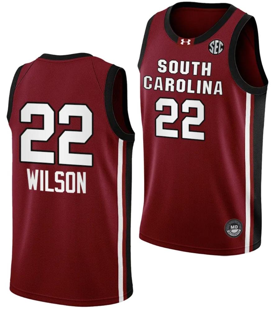 Aja Wilson Jersey 22 South Carolina Gamecocks College Basketball 2023 24 Garnet