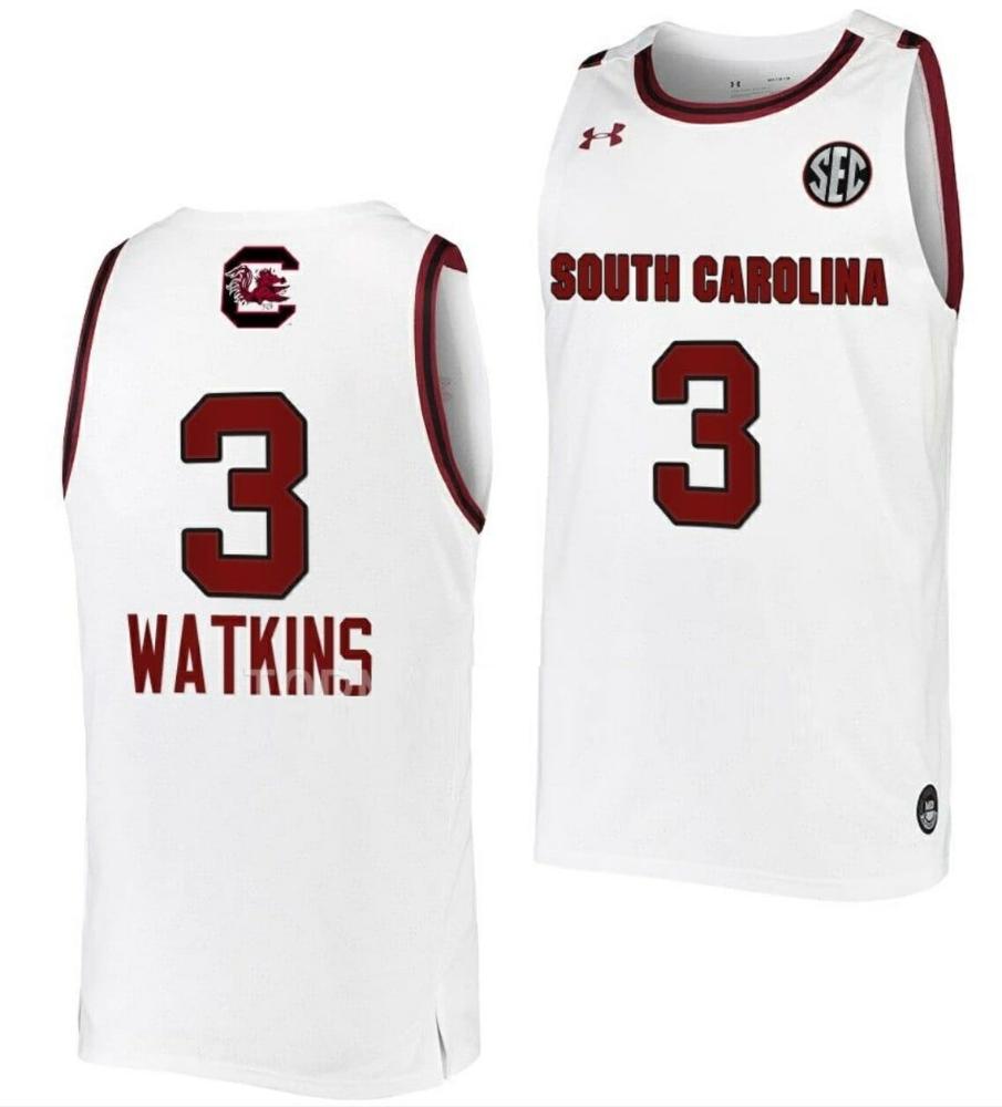 Ashlyn Watkins Jersey South Carolina Gamecocks College Basketball White 3
