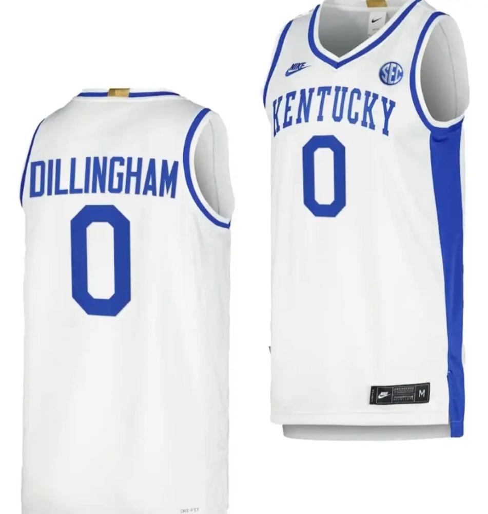 Mens Kentucky Wildcats Robert Dillingham Jersey 0 Limited Retro White