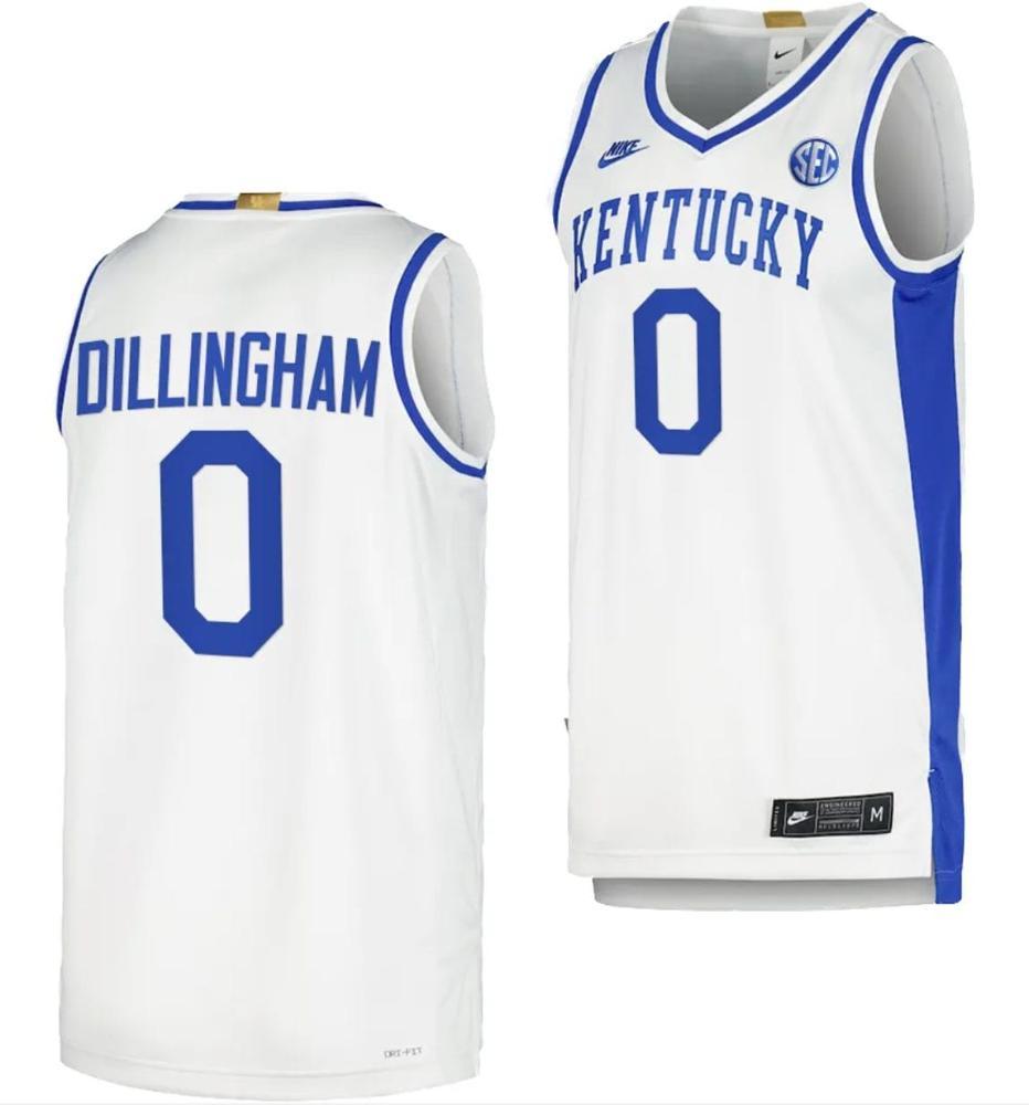 Mens Rob Dillingham Jersey 0 Kentucky Wildcats Nil Basketball Jersey White